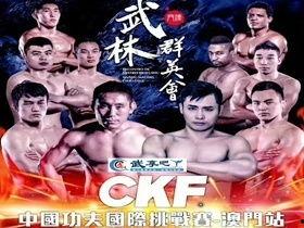 功夫者视频,揭秘武术传奇背后的故事