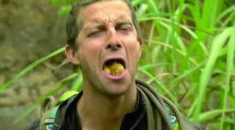 贝尔吃皮蛋视频,舌尖上的勇气大考验