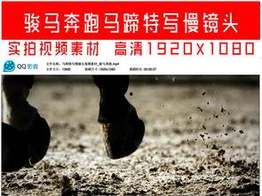 拍马蹄视频,视频记录骏马奔腾瞬间