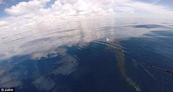 皮艇钓鱼视频,畅游水岸，尽享垂钓乐趣