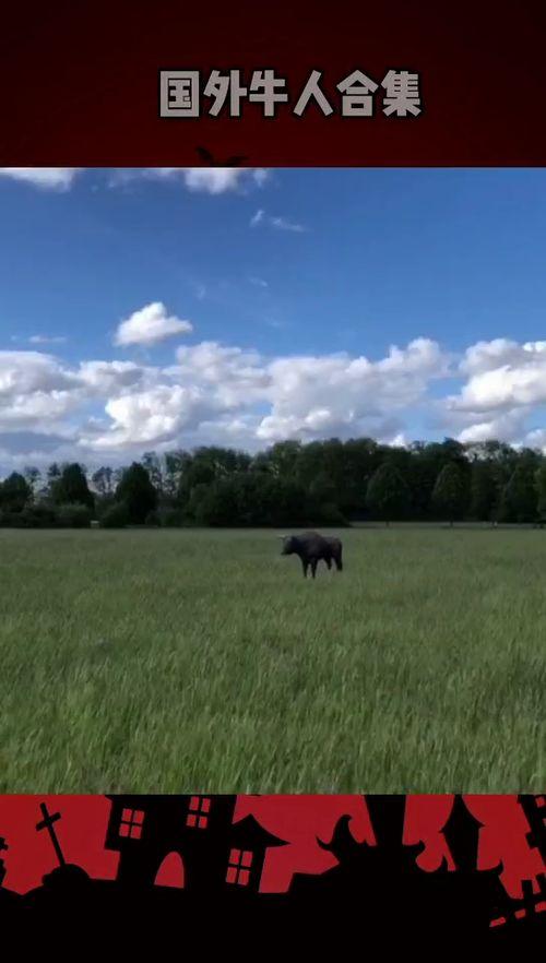 国外牛人视频大全,创意无限，技能惊人