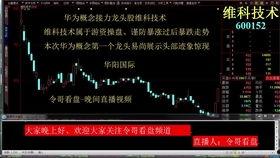 股市在线视频中心,洞悉市场脉搏，解锁投资智慧